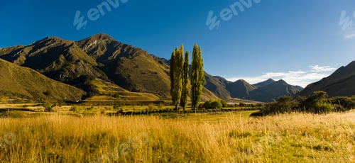 Preview: Autumn landscape, Lake Moke, Queenstown, South Island, New Zealand