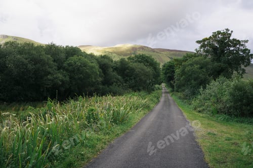 Preview: Rural single track road near Glenade, County Leitrim, Ireland.