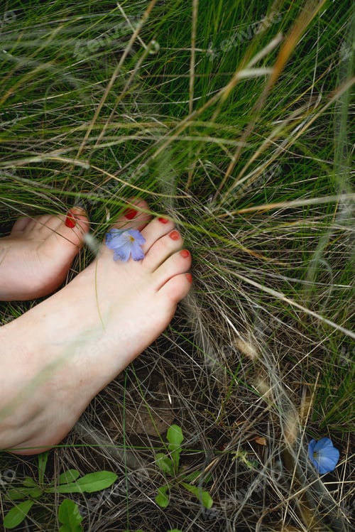 Preview: Bare feet of a girl on the grass