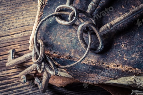 Preview: Knowledge in books is key to the wisdom