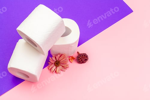 Preview: White toilet paper rolls on bright color block background