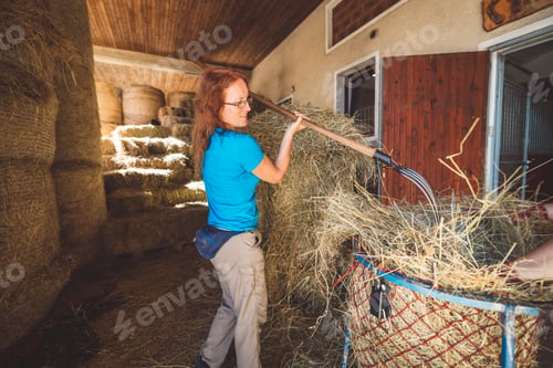 Preview: Strong caucasian woman working at the ranch moving hay around for the horses