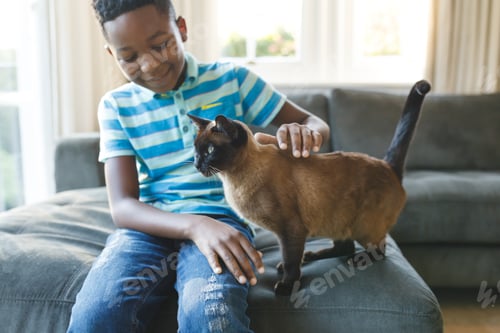 Preview: Happy african american boy sitting on couch and petting his cat in sunny living room