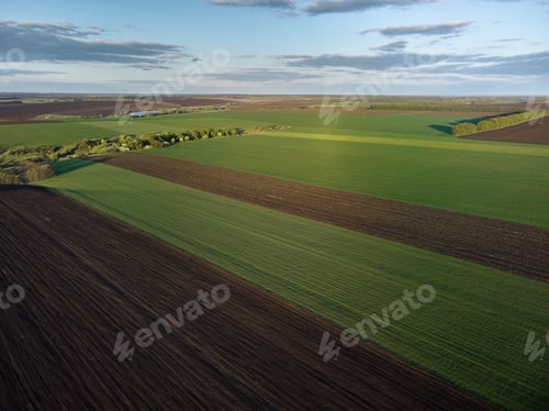 Preview: Aerial View of landscape with green agricultural fields, springtime.