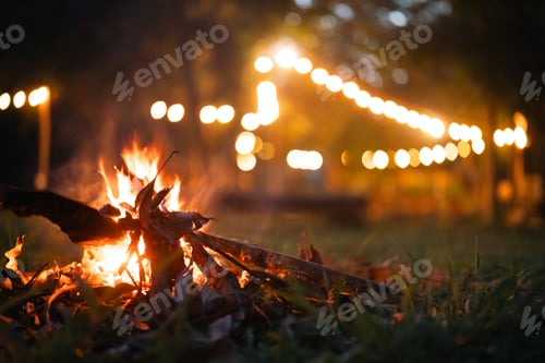 Preview: Summer Campfire Nights, Experience the Adventure of Balefire Flames in Forest