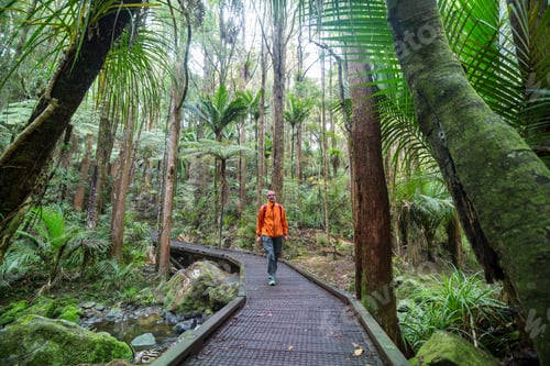 Preview: Tramping