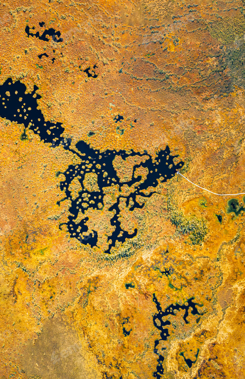 Preview: Miory District, Vitebsk Region, Belarus. The Yelnya Swamp. Upland And Transitional Bogs With