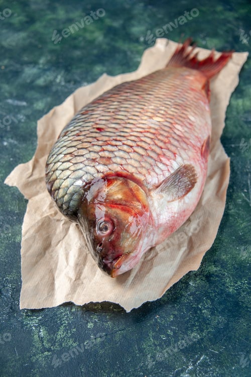 Preview: front view fresh raw fish on a dark-blue background food water ocean omega seafood color horizontal
