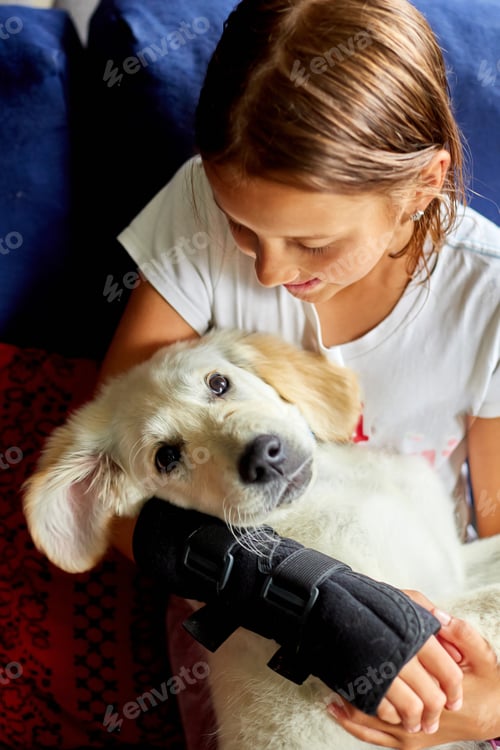 Preview: Happy teenage girl lying on sofa and embracing her puppy golden retriever