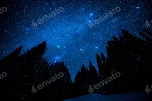 Preview: The bright starry sky in the night forest