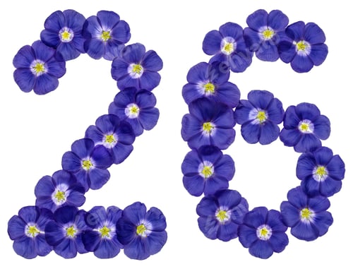Preview: Arabic numeral 26, twenty six, from blue flowers of flax, isolated on white background