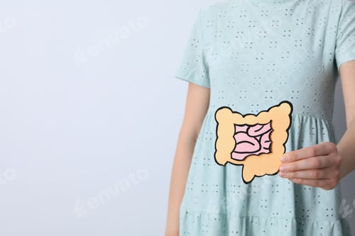 Preview: Concept of health care and internal organs - intestines
