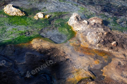 Preview: View of colorful grass in a river of natural Hot Springs at Hot Creek Geological Site