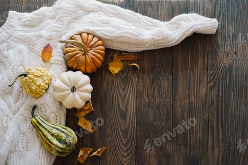 Preview: Multicolored pumpkins and dry autumn leaves on wooden background.