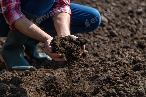 Preview: Male farmer in the field checks the soil. Selective focus.