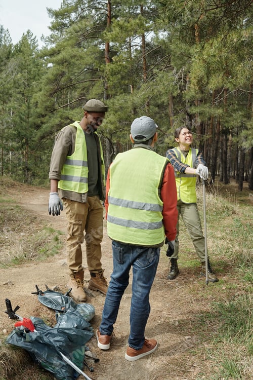 Preview: People Cleaning Forest Trail during Environmental Volunteer Work