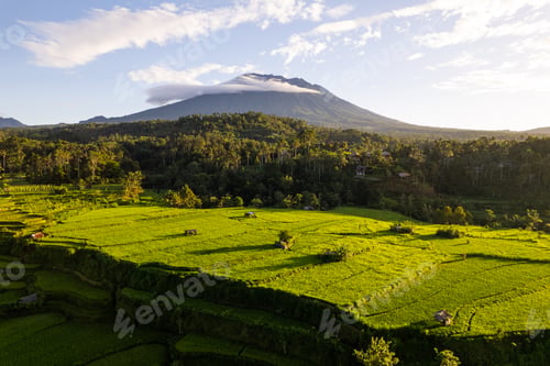 Preview: Aerial sunrise view of green rice fields and Mount Agung in Bali, Indonesia