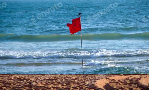 Preview: Tropical beach at Goa, India