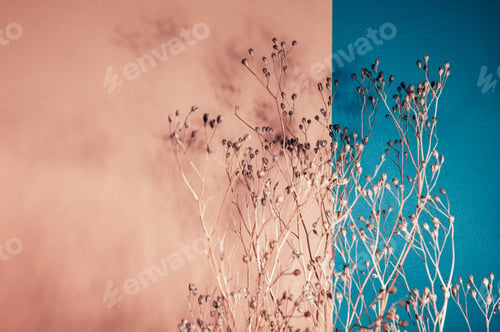 Preview: Decor from dry flowers or twigs