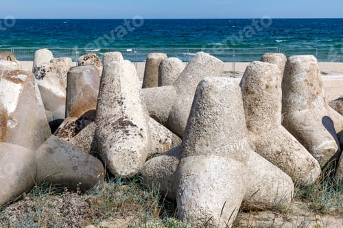 Preview: tetrapods