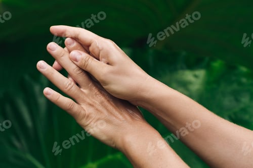 Preview: Close-up of Female Hands Applying Nourishing Cream, surrounded by tropical leaves