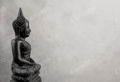Preview: buddha statue isolated on grey background