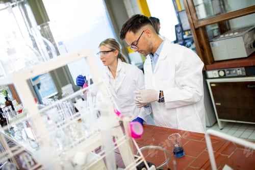 Preview: Group of young researchers analyzing chemical data in the laboratory