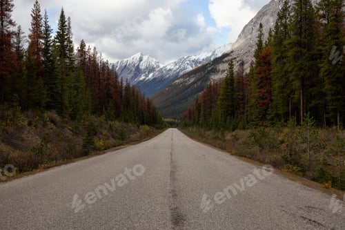 Preview: Scenic road in the Canadian Rockies during Fall Season