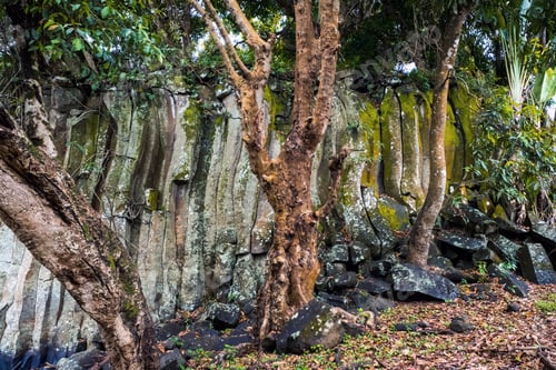 Preview: Rock and trees on Mauritius Island near Rotchester Falls
