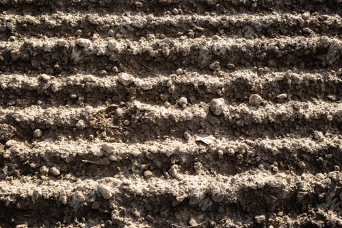 Preview: Top view of plowed rows of soil in a field