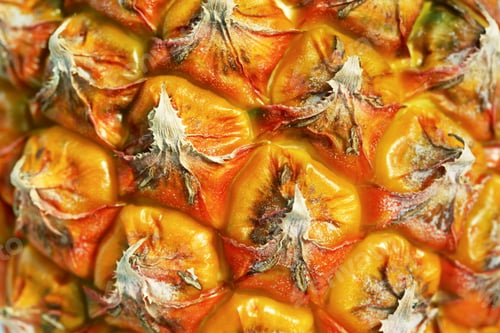 Preview: Texture of Ripe Pineapple.