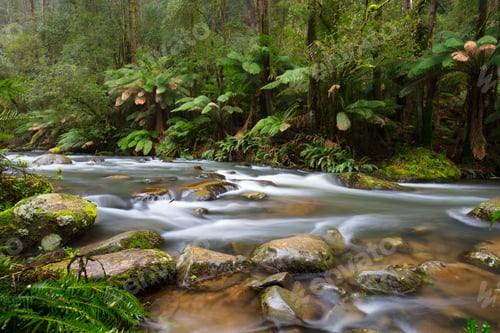Preview: Hopetoun Falls Cape Otway in Victoria Australia