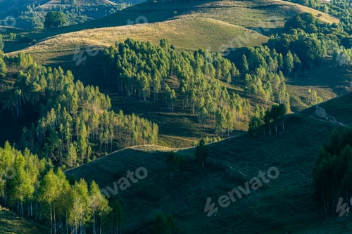 Preview: Green View