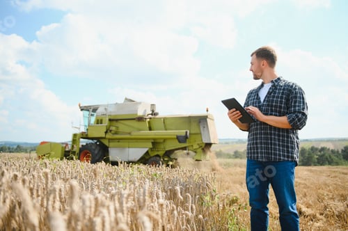 Preview: Farmer In Wheat Field Inspecting Crop. Farmer in wheat field with harvester
