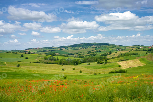 Preview: Landscape on the Tortona hills at springtime.