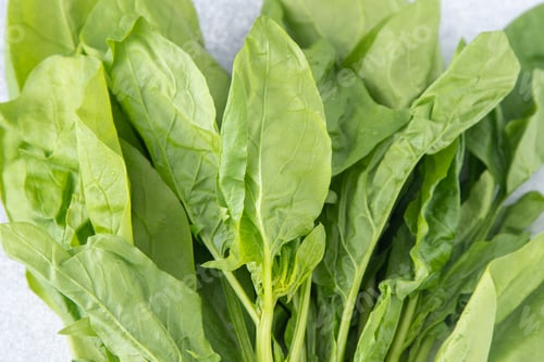 Preview: Spinach green leaves on salad.