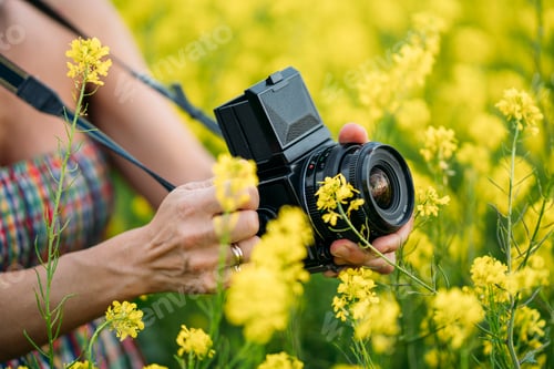 Preview: crop woman taking picture in field