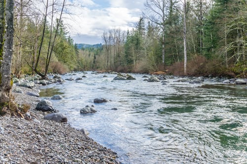 Preview: The Green River Flows Past Trees At Kanaskat-Palmer State Park In Washington State.