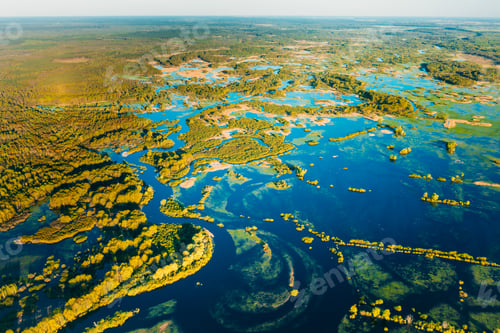 Preview: Aerial View Green Forest Woods And River Landscape In Sunny Spring Summer Day. Top View Of Nature