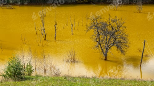 Preview: Chemicals Leak in Water, Disaster in Nature