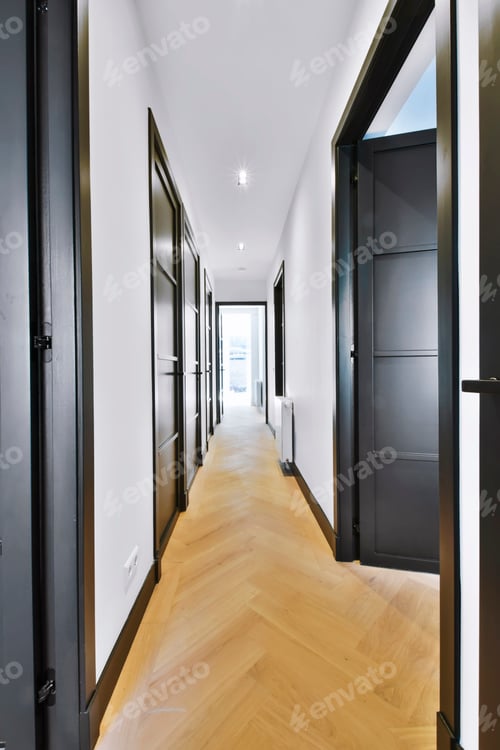 Preview: Stylish corridor with lots of black doors