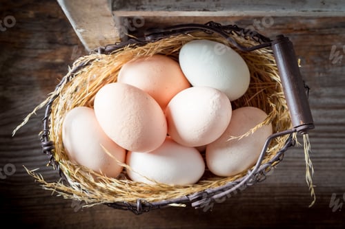 Preview: Free range eggs in basket with feathers