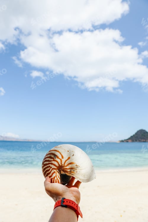 Preview: Vacation on the beach background