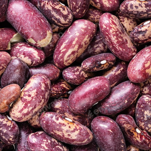 Preview: raw red spotted pinto beans close up
