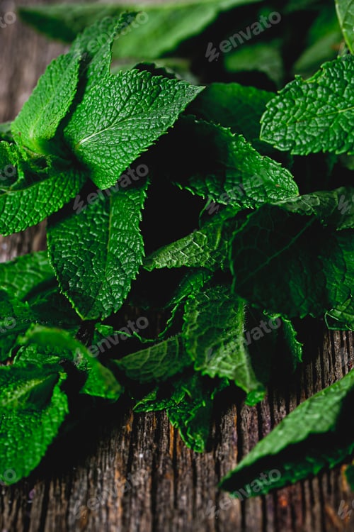 Preview: Mint on the table