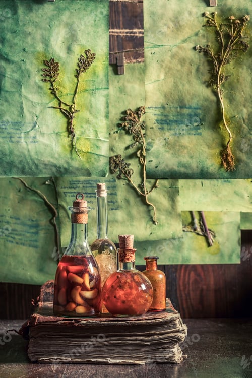 Preview: Extraordinary herbalist workshop with dried herbs and flowers