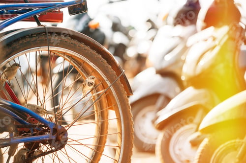 Preview: Bird sparrow sitting on spoke of the bicycle wheel. india Nestling House Sparrow