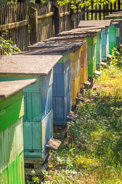 Preview: Wooden beehives in the summer garden, Europe