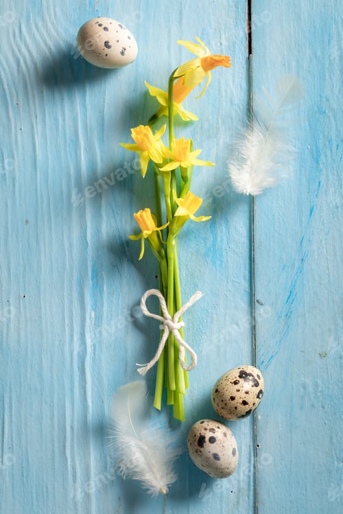 Preview: Daffodils with Easter eggs and feathers as background