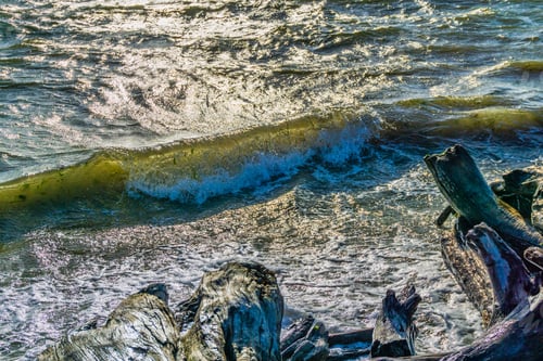 Preview: Shore Break On A Windy Day At Normandy Park, Washington.